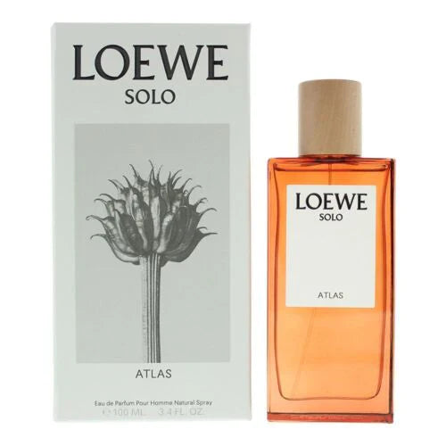 SOLO LOEWE ATLAS
